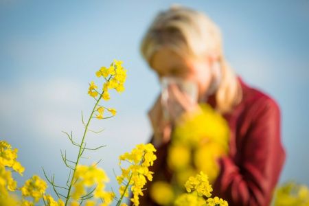 Что же принимать от аллергии в сезон цветения?
